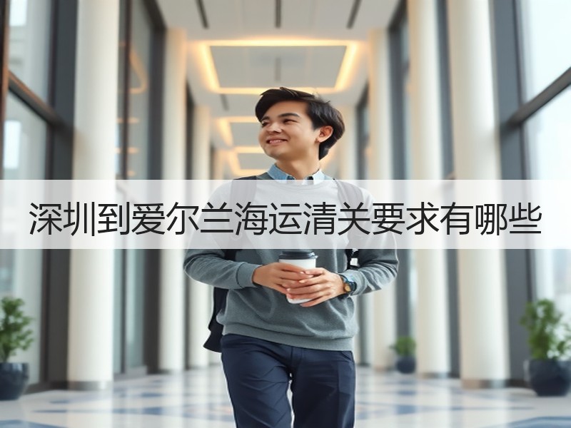 深圳到爱尔兰海运清关要求有哪些
