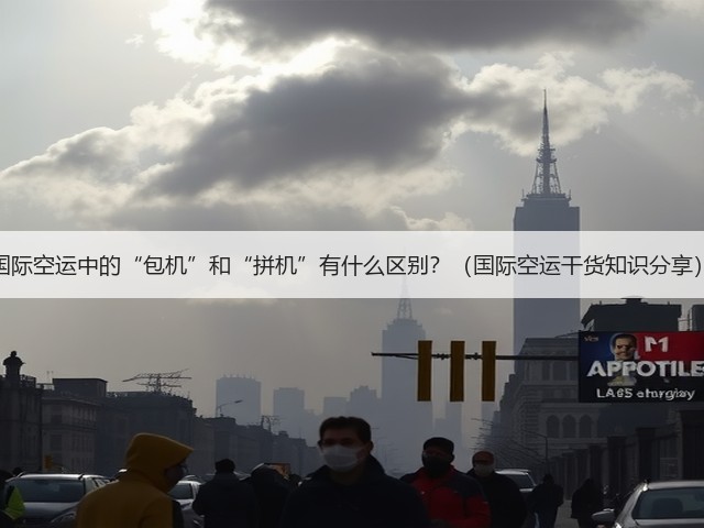 国际空运中的“包机”和“拼机”有什么区别?(国际空运干货知识分享)(图3) 国际空运中的“包机”和“拼机”有什么区别?(国际空运干货知识分享)(图3)