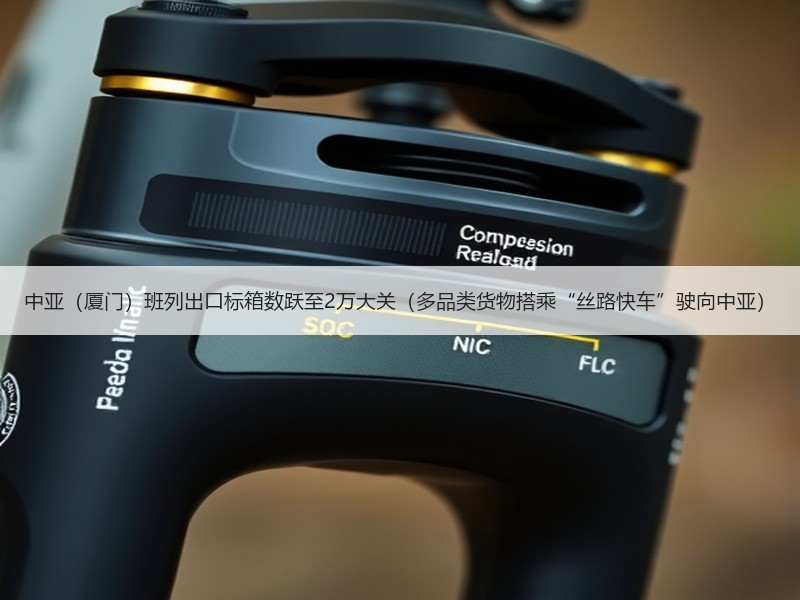 中亚（厦门）班列出口标箱数跃至2万大关（多品类货物搭乘“丝路快车”驶向中亚）