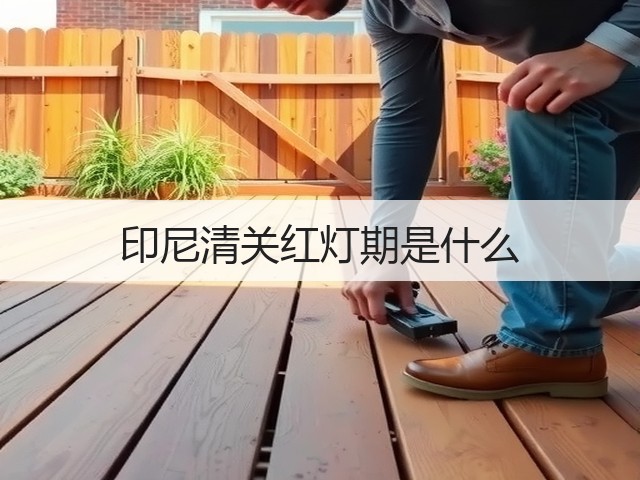 印尼清关红灯期是什么(图3) 印尼清关红灯期是什么(图3)