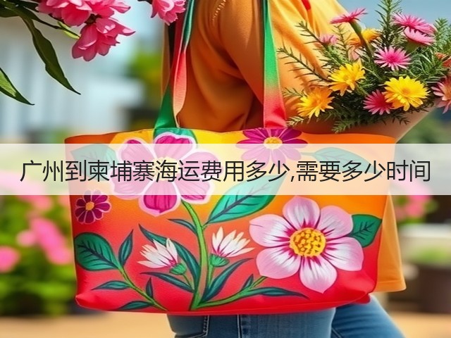 广州到柬埔寨海运费用多少,需要多少时间(图3) 广州到柬埔寨海运费用多少,需要多少时间(图3)