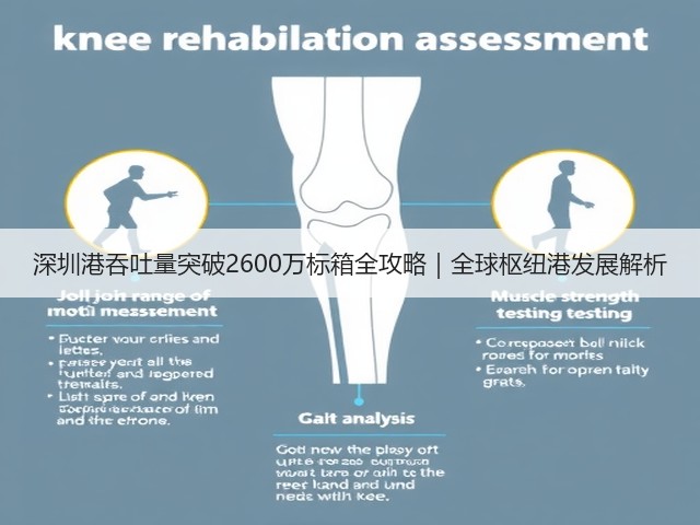 深圳港吞吐量突破2600万标箱全攻略|全球枢纽港发展解析(图1) 深圳港吞吐量突破2600万标箱全攻略|全球枢纽港发展解析(图1)
