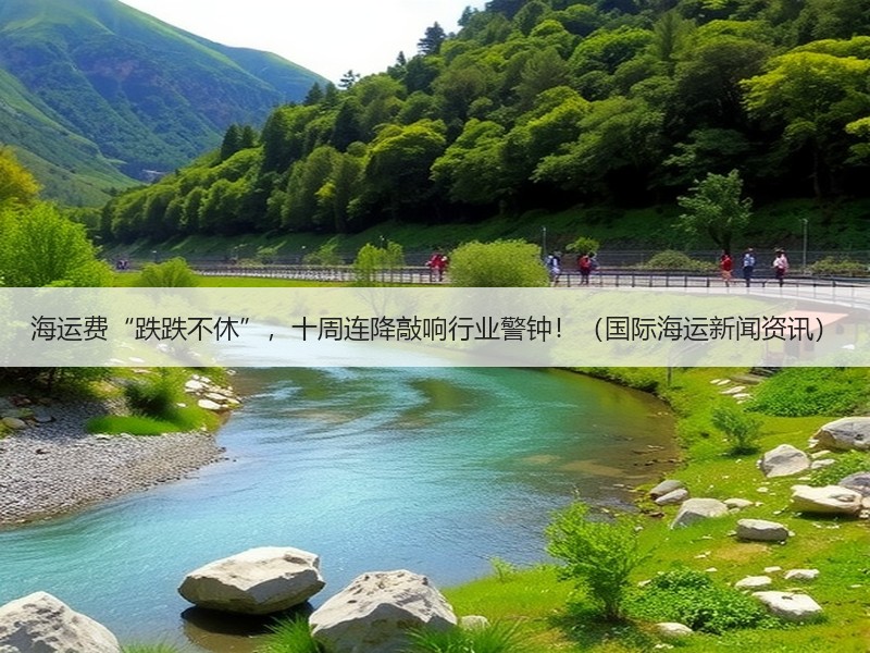 海运费“跌跌不休”，十周连降敲响行业警钟！（国际海运新闻资讯）