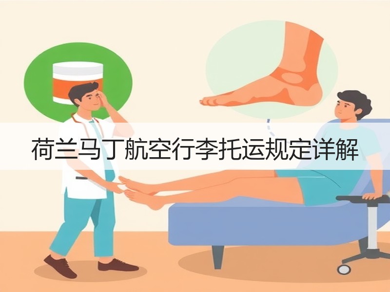 荷兰马丁航空行李托运规定详解