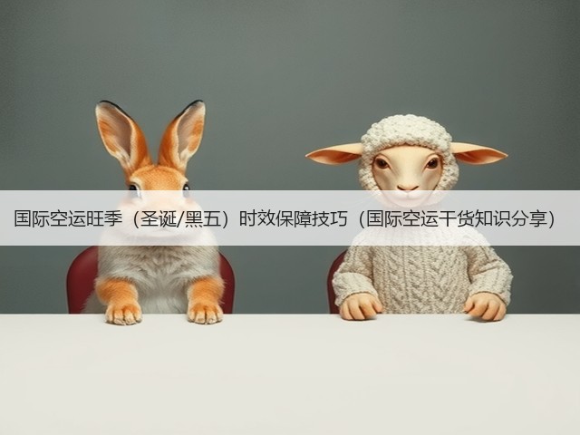 国际空运旺季(圣诞/黑五)时效保障技巧(国际空运干货知识分享)(图3) 国际空运旺季(圣诞/黑五)时效保障技巧(国际空运干货知识分享)(图3)