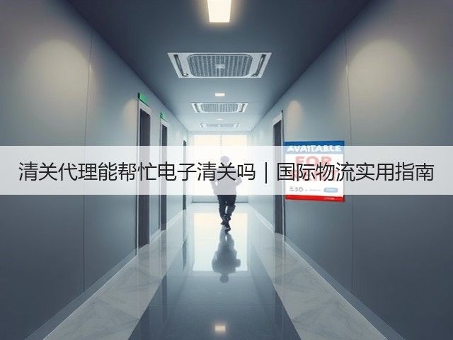 清关代理能帮忙电子清关吗｜国际物流实用指南(图2)