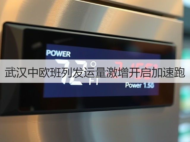 武汉中欧班列发运量激增开启加速跑(图1) 武汉中欧班列发运量激增开启加速跑(图1)