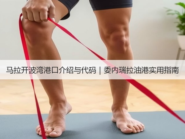 马拉开波湾港口介绍与代码｜委内瑞拉油港实用指南(图2)