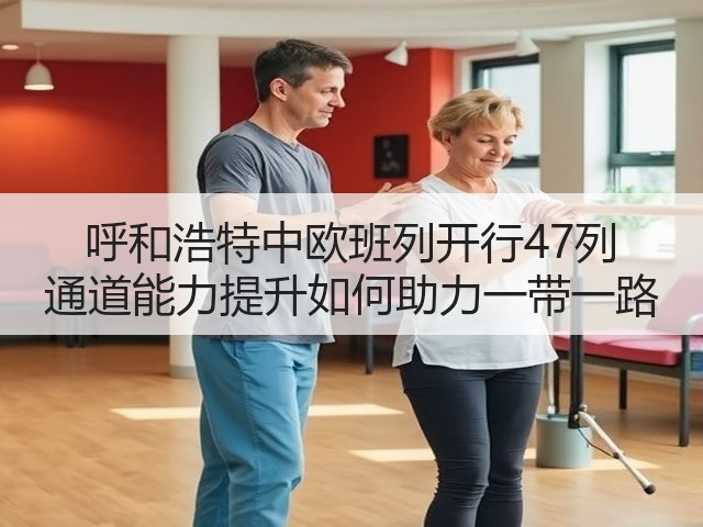 呼和浩特中欧班列开行47列 通道能力提升如何助力一带一路(图1) 呼和浩特中欧班列开行47列 通道能力提升如何助力一带一路(图1)