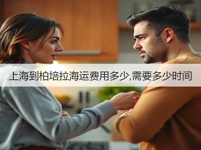 上海到柏培拉海运费用多少,需要多少时间(图3) 上海到柏培拉海运费用多少,需要多少时间(图3)