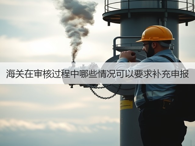 海关在审核过程中哪些情况可以要求补充申报(图1)