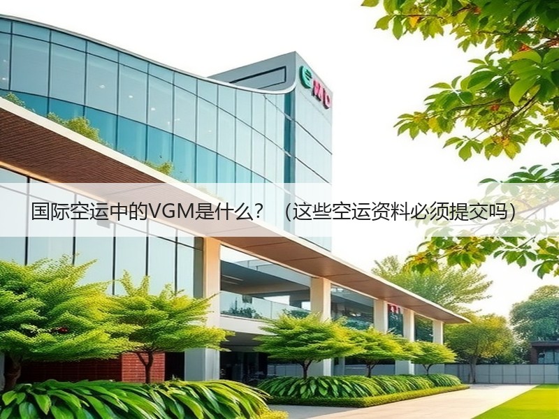 国际空运中的VGM是什么？（这些空运资料必须提交吗）