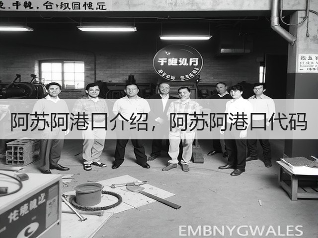 阿苏阿港口介绍，阿苏阿港口代码(图2)