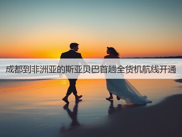 成都到非洲亚的斯亚贝巴首趟全货机航线开通(图3) 成都到非洲亚的斯亚贝巴首趟全货机航线开通(图3)