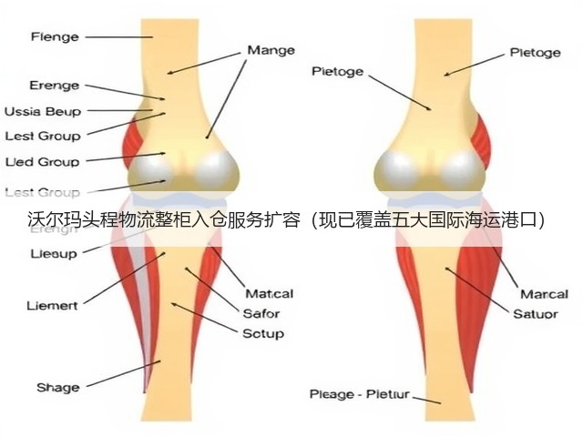 沃尔玛头程物流整柜入仓服务扩容(现已覆盖五大国际海运港口)(图3) 沃尔玛头程物流整柜入仓服务扩容(现已覆盖五大国际海运港口)(图3)
