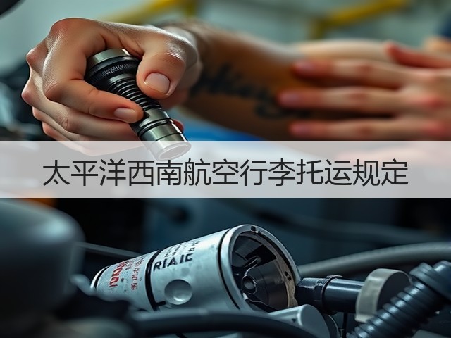太平洋西南航空行李托运规定(图2) 太平洋西南航空行李托运规定(图2)