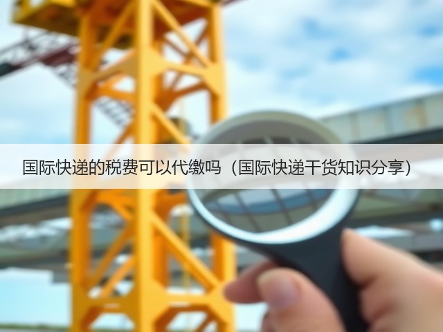 国际快递的税费可以代缴吗(国际快递干货知识分享)(图3) 国际快递的税费可以代缴吗(国际快递干货知识分享)(图3)