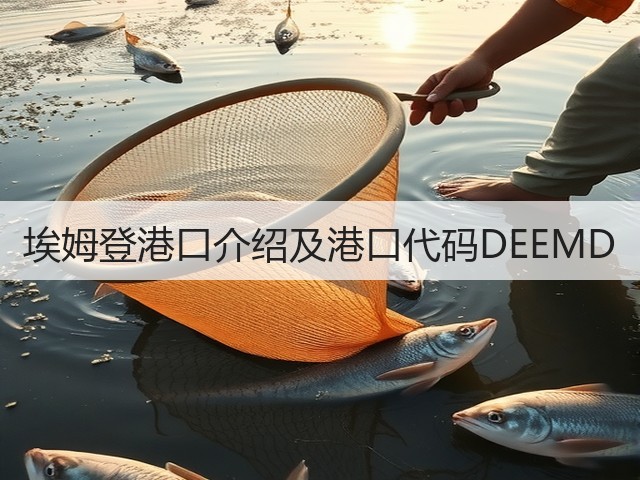 埃姆登港口介绍及港口代码DEEMD(图1) 埃姆登港口介绍及港口代码DEEMD(图1)