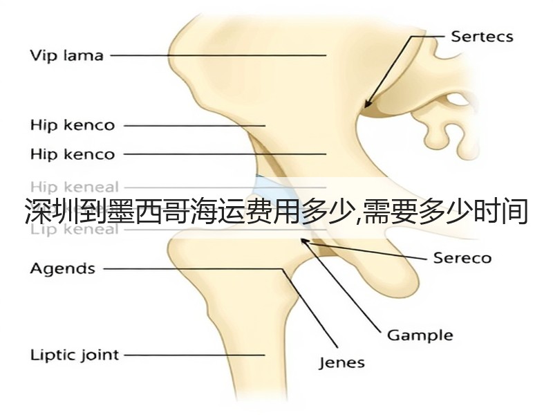 深圳到墨西哥海运费用多少,需要多少时间