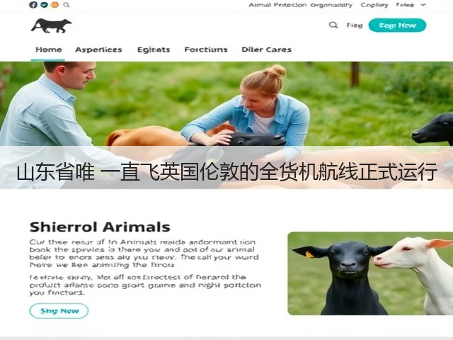 山东省唯 一直飞英国伦敦的全货机航线正式运行(图2)