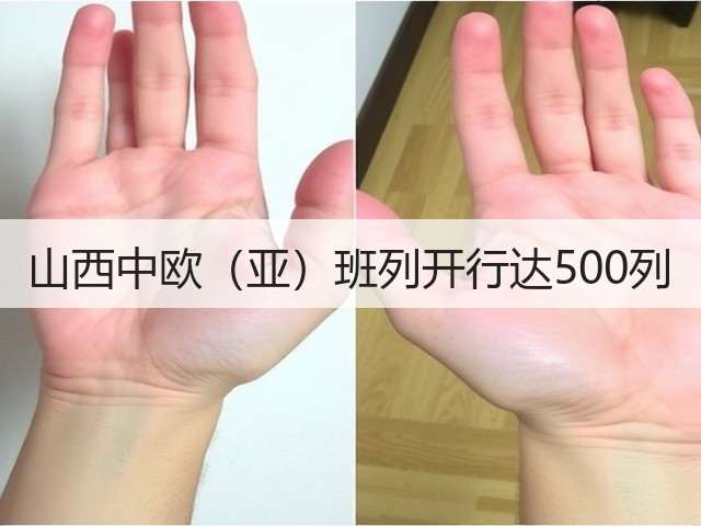 山西中欧(亚)班列开行达500列(图1) 山西中欧(亚)班列开行达500列(图1)