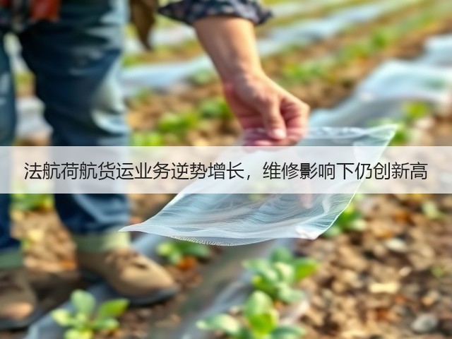 法航荷航货运业务逆势增长,维修影响下仍创新高(图1) 法航荷航货运业务逆势增长,维修影响下仍创新高(图1)