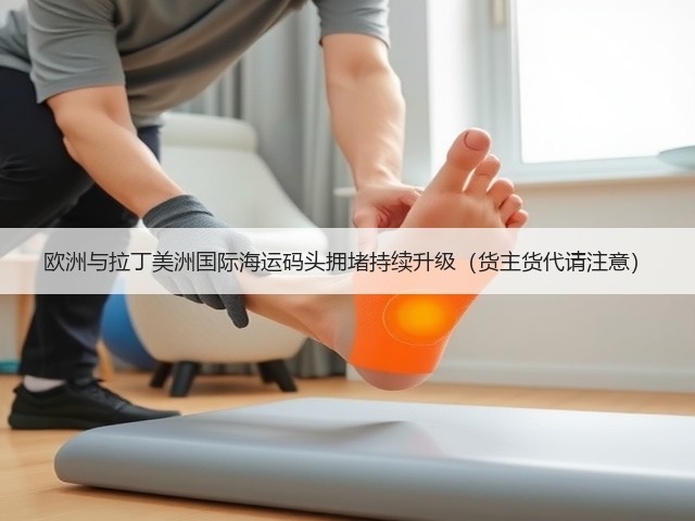 欧洲与拉丁美洲国际海运码头拥堵持续升级(货主货代请注意)(图3) 欧洲与拉丁美洲国际海运码头拥堵持续升级(货主货代请注意)(图3)