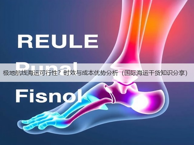 极地航线海运可行性?时效与成本优势分析(国际海运干货知识分享)(图1) 极地航线海运可行性?时效与成本优势分析(国际海运干货知识分享)(图1)
