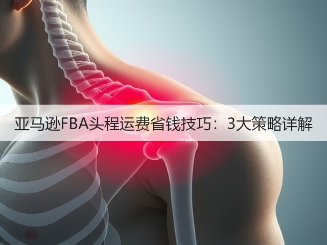 亚马逊FBA头程运费省钱技巧:3大策略详解(图3) 亚马逊FBA头程运费省钱技巧:3大策略详解(图3)