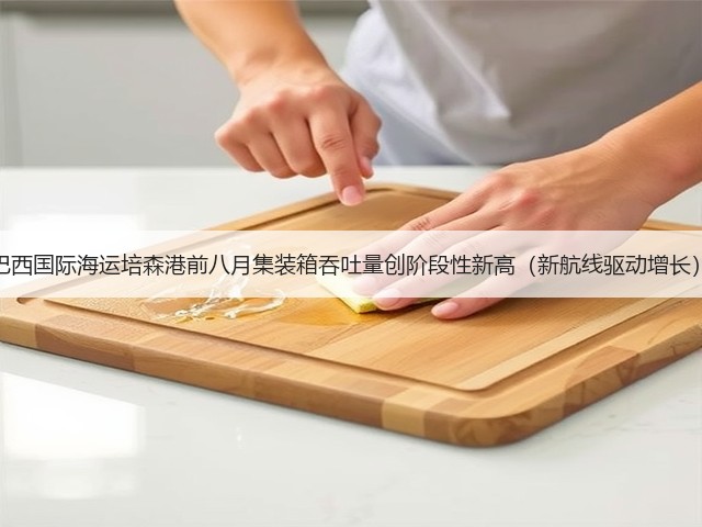 巴西国际海运培森港前八月集装箱吞吐量创阶段性新高(新航线驱动增长)(图3) 巴西国际海运培森港前八月集装箱吞吐量创阶段性新高(新航线驱动增长)(图3)