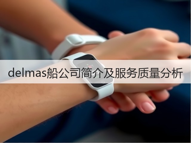 delmas船公司简介及服务质量分析(图3) delmas船公司简介及服务质量分析(图3)