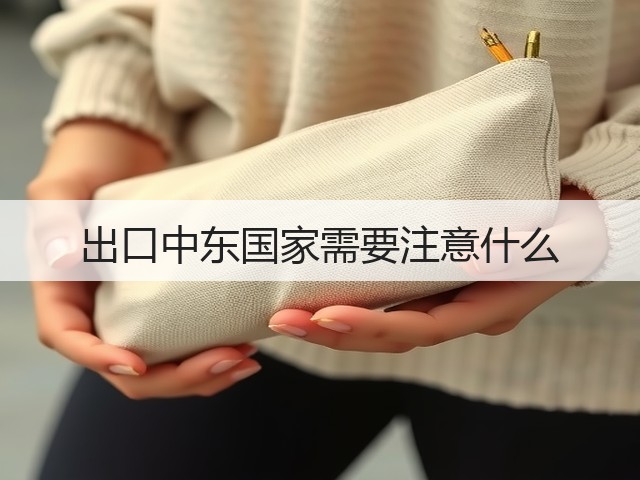 出口中东国家需要注意什么(图2) 出口中东国家需要注意什么(图2)