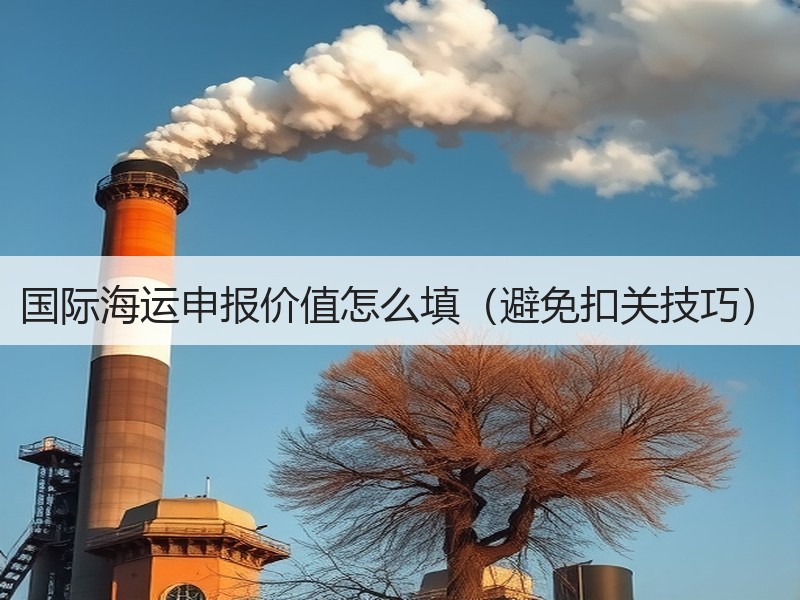 国际海运申报价值怎么填（避免扣关技巧）