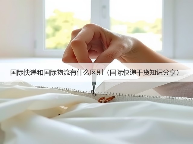 国际快递和国际物流有什么区别(国际快递干货知识分享)(图3) 国际快递和国际物流有什么区别(国际快递干货知识分享)(图3)