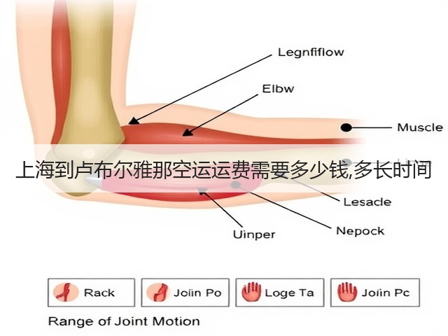 上海到卢布尔雅那空运运费需要多少钱,多长时间(图2) 上海到卢布尔雅那空运运费需要多少钱,多长时间(图2)