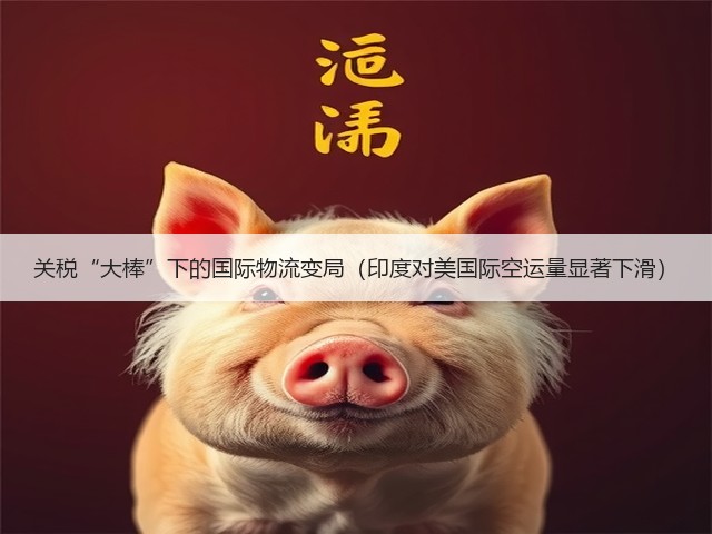 关税“大棒”下的国际物流变局(印度对美国际空运量显著下滑)(图2) 关税“大棒”下的国际物流变局(印度对美国际空运量显著下滑)(图2)
