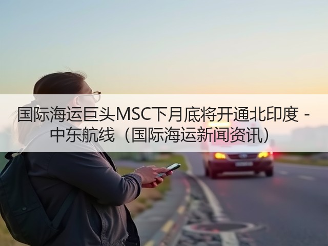 国际海运巨头MSC下月底将开通北印度 - 中东航线（国际海运新闻资讯）(图2)