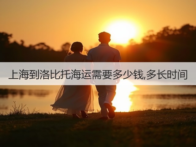 上海到洛比托海运需要多少钱,多长时间(图2)
