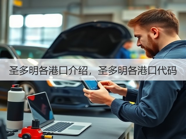 圣多明各港口介绍,圣多明各港口代码(图2) 圣多明各港口介绍,圣多明各港口代码(图2)