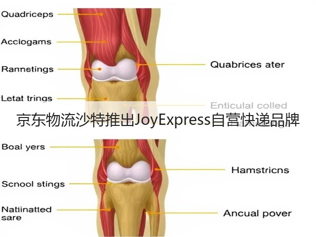 京东物流沙特推出JoyExpress自营快递品牌(图2)