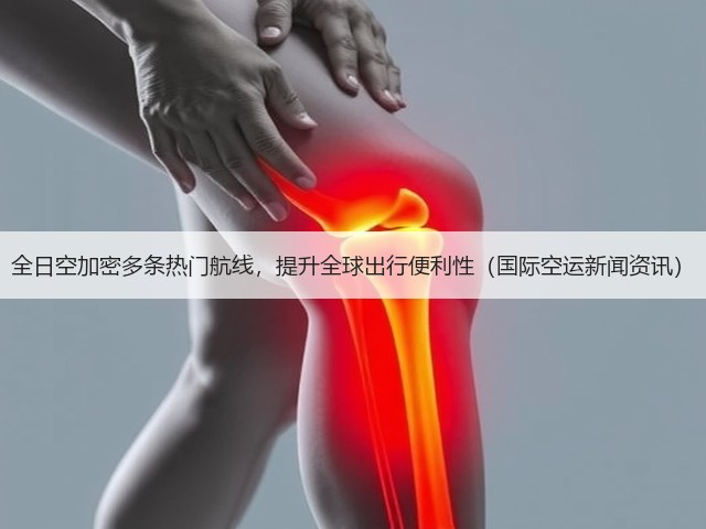 全日空加密多条热门航线,提升全球出行便利性(国际空运新闻资讯)(图1) 全日空加密多条热门航线,提升全球出行便利性(国际空运新闻资讯)(图1)