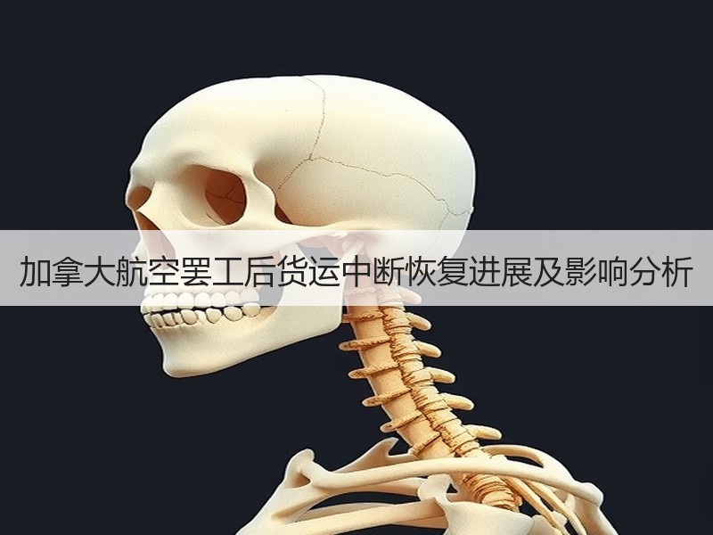 加拿大航空罢工后货运中断恢复进展及影响分析 加拿大航空罢工后货运中断恢复进展及影响分析