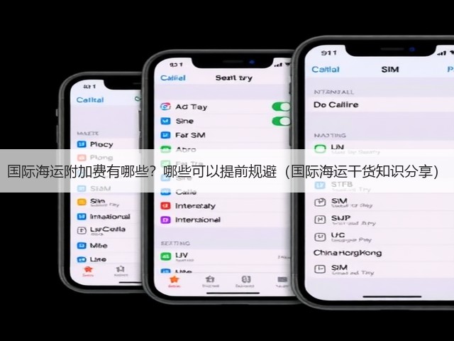 国际海运附加费有哪些?哪些可以提前规避(国际海运干货知识分享)(图2) 国际海运附加费有哪些?哪些可以提前规避(国际海运干货知识分享)(图2)