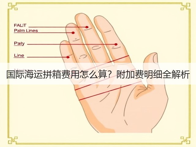 国际海运拼箱费用怎么算?附加费明细全解析(图3) 国际海运拼箱费用怎么算?附加费明细全解析(图3)