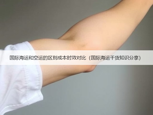 国际海运和空运的区别成本时效对比(国际海运干货知识分享)(图2) 国际海运和空运的区别成本时效对比(国际海运干货知识分享)(图2)