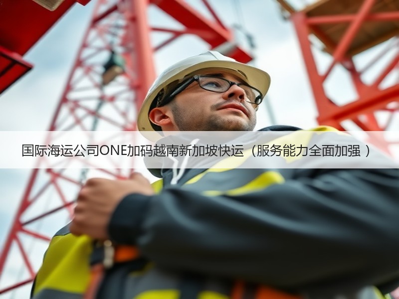国际海运公司ONE加码越南新加坡快运(服务能力全面加强 ) 国际海运公司ONE加码越南新加坡快运(服务能力全面加强 )