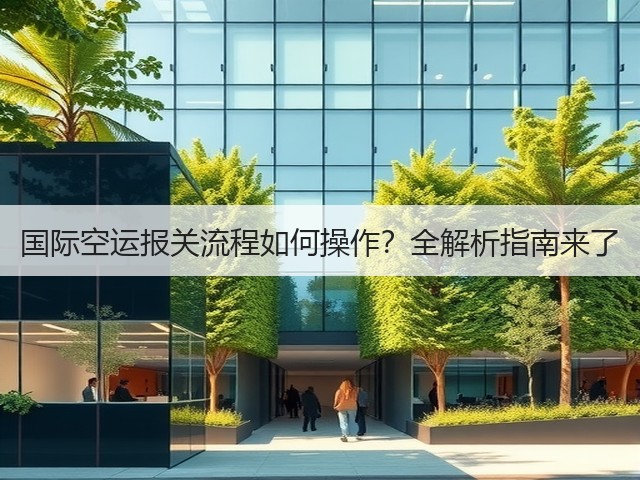 国际空运报关流程如何操作?全解析指南来了(图3) 国际空运报关流程如何操作?全解析指南来了(图3)