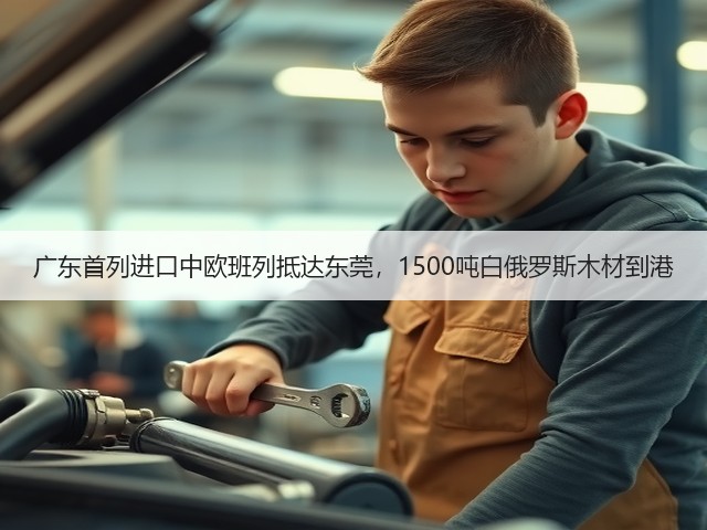 广东首列进口中欧班列抵达东莞,1500吨白俄罗斯木材到港(图1) 广东首列进口中欧班列抵达东莞,1500吨白俄罗斯木材到港(图1)