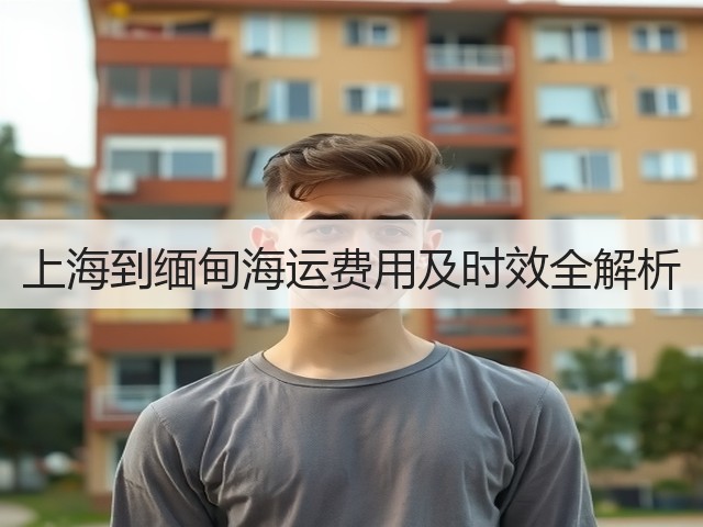 上海到缅甸海运费用及时效全解析(图3) 上海到缅甸海运费用及时效全解析(图3)