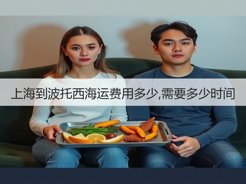 上海到波托西海运费用多少,需要多少时间